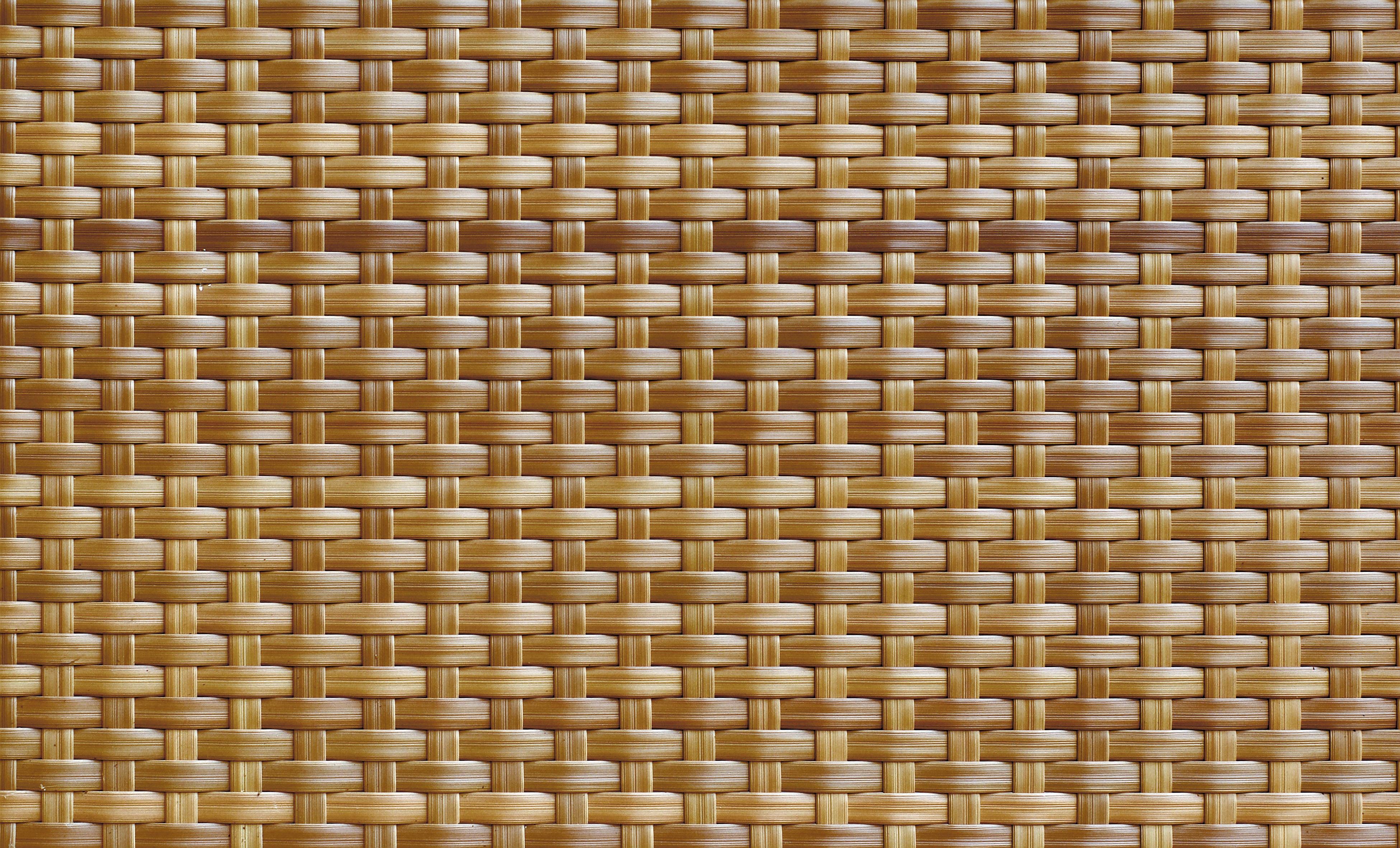 Ротанг